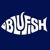 blufish branding logo image