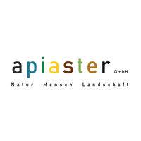 apiaster gmbh logo image