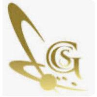 goldrush capital services pvt. ltd logo image