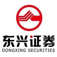 dongxing securities co., ltd. logo image