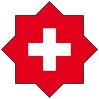 orientswiss sa logo image