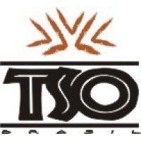 tso brasil logo image