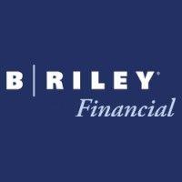 b. riley financial