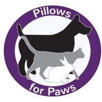 pillows for paws