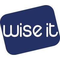 wise it ukraine logo image