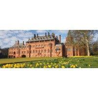 mount stuart trust