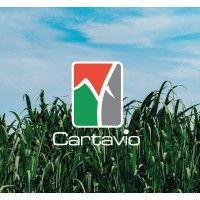 cartavio s.a.a. logo image