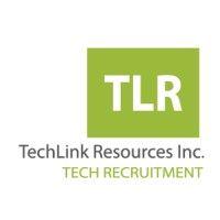 techlink resources, inc logo image