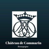 château de commarin logo image