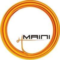 maini precision products limited logo image