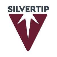 silvertip completion services