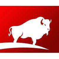 the buffalo group logo image