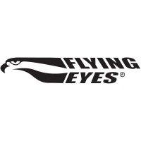 flying eyes logo image