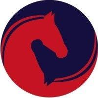 ajn equine services logo image