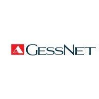 gessnet safety engineering logo image