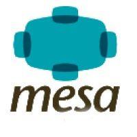 mesa consultores