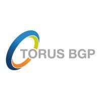 torus bgp logo image