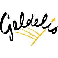 geldelis logo image