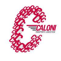 caloni trasporti logo image