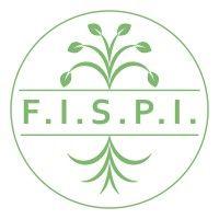 fispi federazione italiana sviluppo professioni e imprese