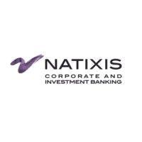 natixis services in india logo image