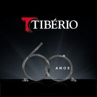 tibério construções e incorporações s/a logo image