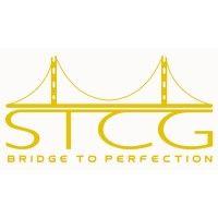 satguru technosoft consulting group inc. (stcg) logo image