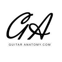 guitar anatomy logo image