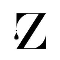 zeev lighting logo image