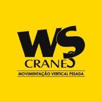 ws cranes indústria metalúrgica logo image