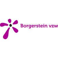 borgerstein vzw logo image