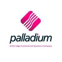 palladium business solutions logo image