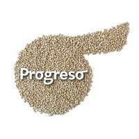 progreso foundation logo image