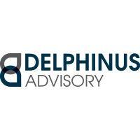 delphinus advisory ltd logo image