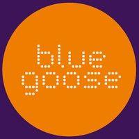 blue goose logo image