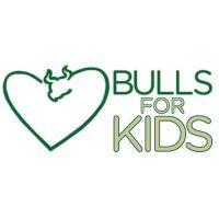 bulls for kids logo image