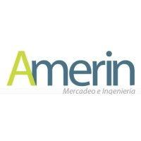 amerin logo image