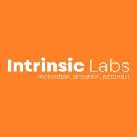 intrinsic labs logo image