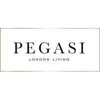 pegasi management company limited