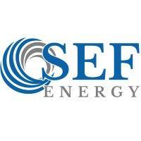 sef energy logo image