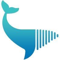 media whale logo image