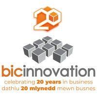 bic innovation ltd logo image