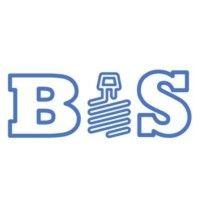 bis consulting logo image