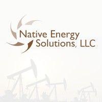 native energy solutions llc logo image