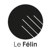 les éditions du félin