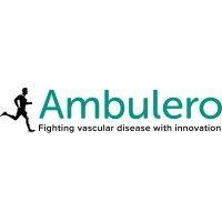 ambulero logo image