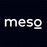 meso logo image