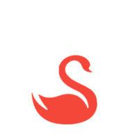 red swan ventures logo image