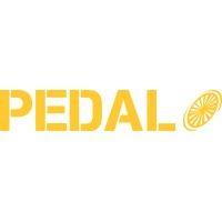 pedal spin studio logo image