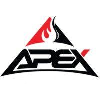 apex unlimited services llc logo image